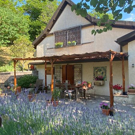 La Colombaia Amiata Acomodação com café da manhã Arcidosso Exterior foto