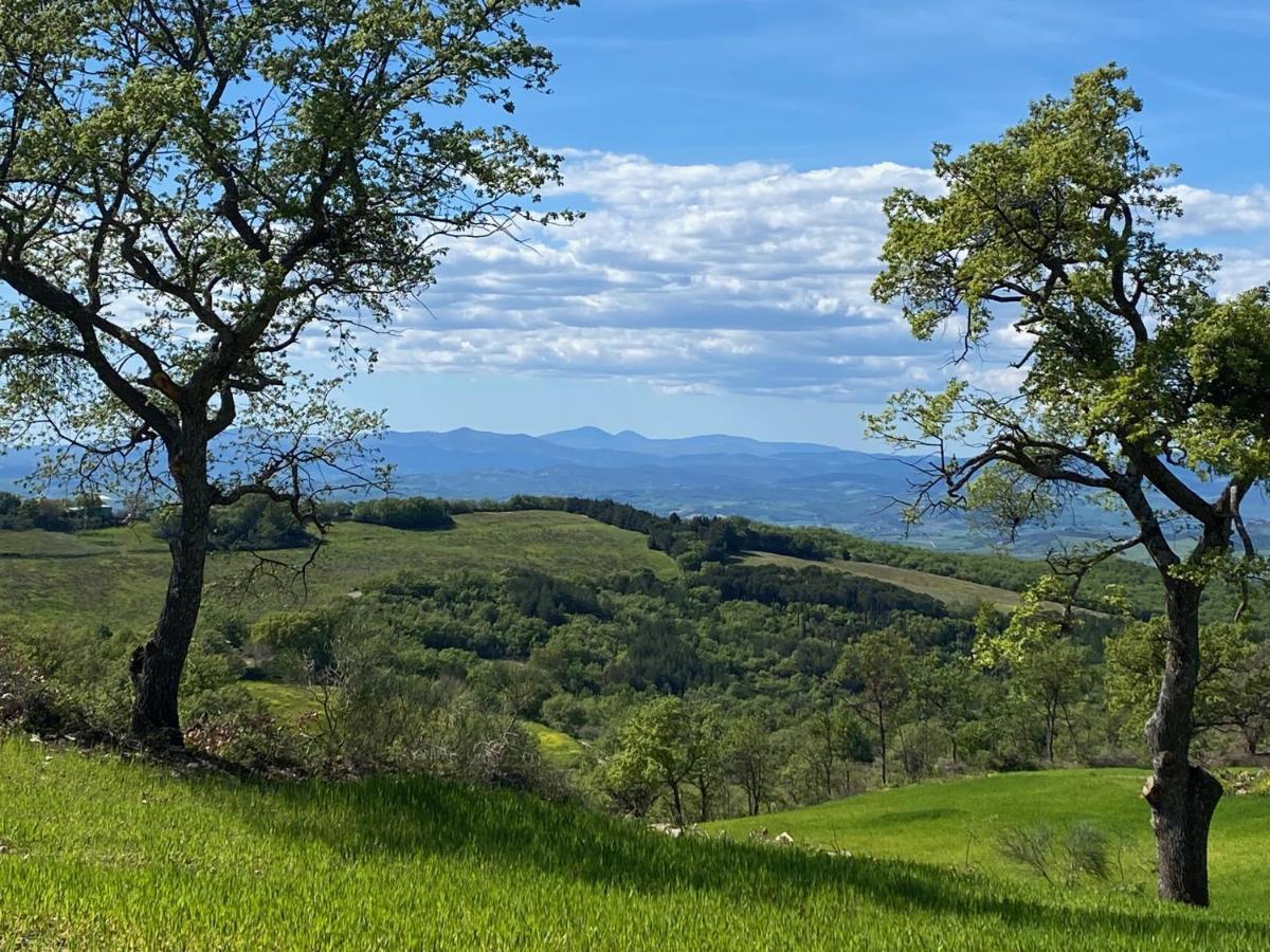 La Colombaia Amiata Acomodação com café da manhã Arcidosso Exterior foto